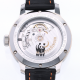 Watch Meistersinger Limited Edition Planet Earth Wwf